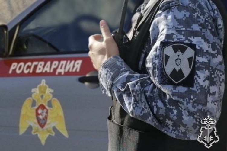 Росгвардейцы задержали двух нетрезвых водителей в Омской области