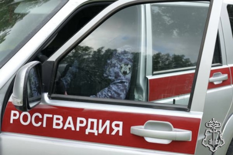 Рогсвардейцы задержали двух нетрезвых водителей в Омской области 