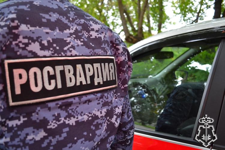 В Омской области росгвардейцы задержали нетрезвого водителя мопеда